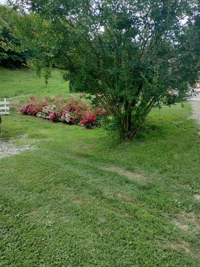 Casa Relax Immersa Nel Verde Della Natura Casalborgone Exteriör bild