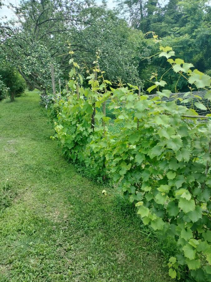 Casa Relax Immersa Nel Verde Della Natura Casalborgone Exteriör bild