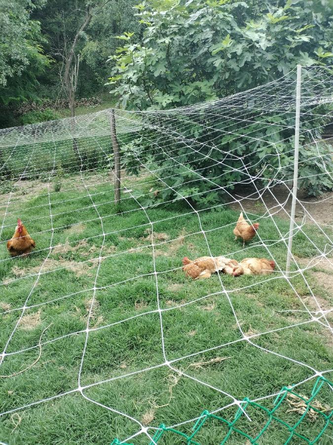 Casa Relax Immersa Nel Verde Della Natura Casalborgone Exteriör bild